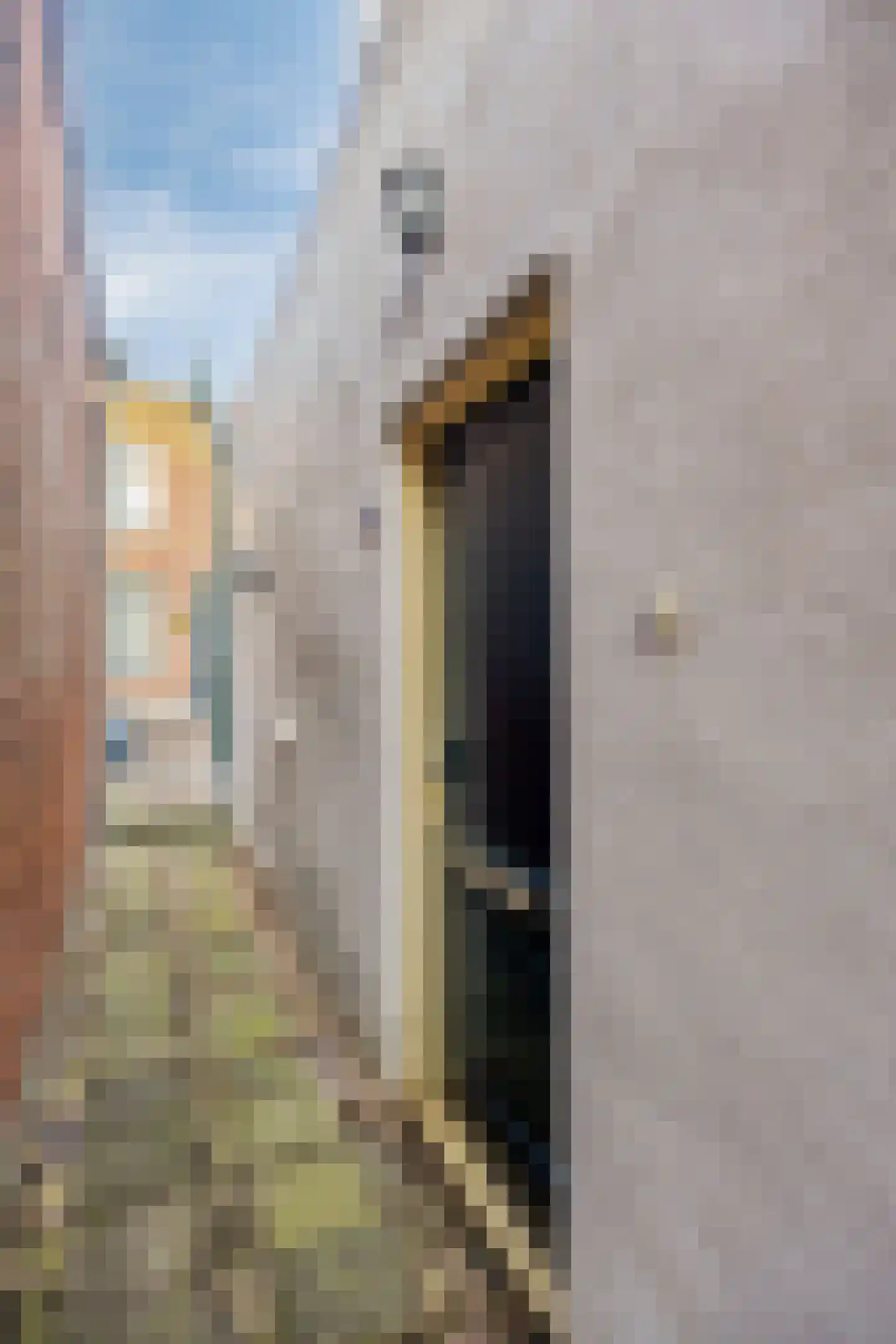 Havenstraat 29 Schoonhoven thumbnail 15