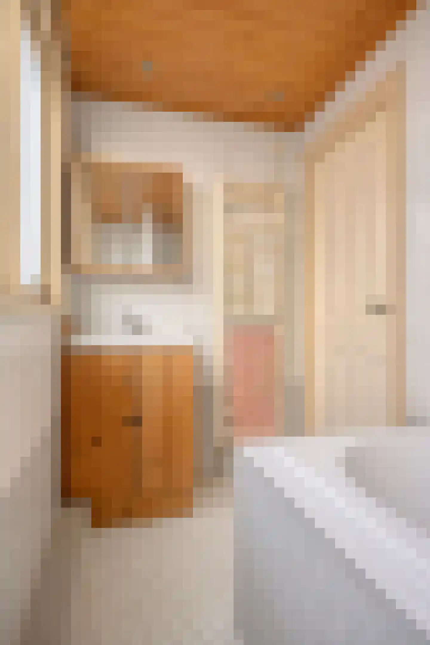 Havenstraat 29 Schoonhoven thumbnail 32