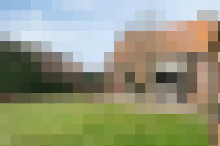 Havenstraat 29 Waarde thumbnail 36