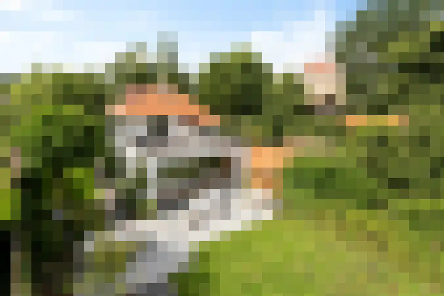 Havenstraat 29 Waarde thumbnail 42