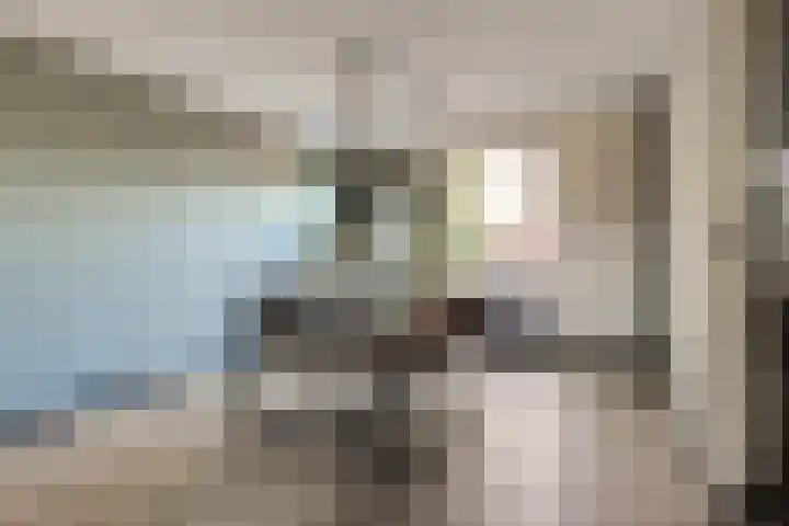Havenstraat 3 Berkel en Rodenrijs thumbnail 10