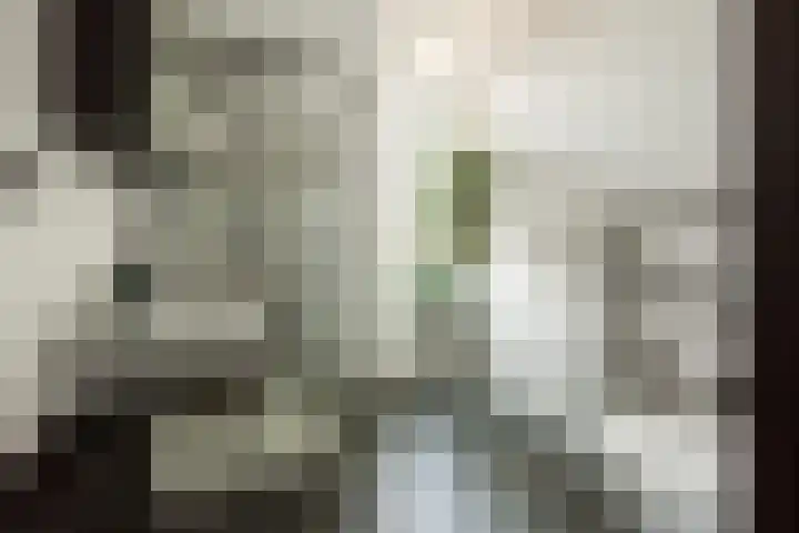 Havenstraat 3 Berkel en Rodenrijs thumbnail 27