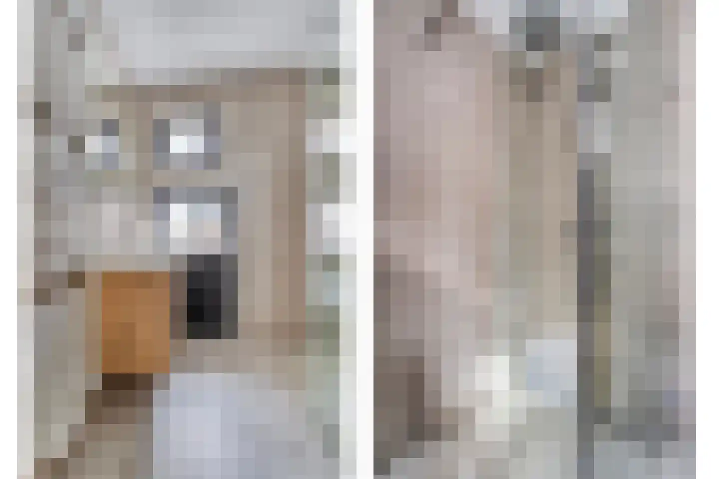 Havenstraat 3 Oudewater thumbnail 19