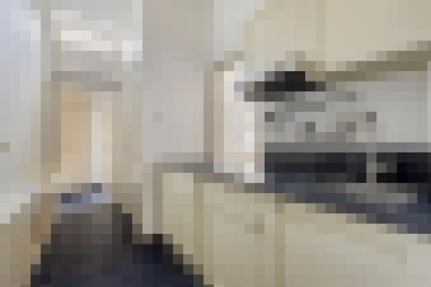 Havenstraat 3 's-Hertogenbosch thumbnail 12