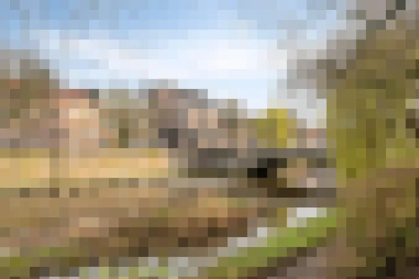 Havenstraat 3 's-Hertogenbosch thumbnail 19