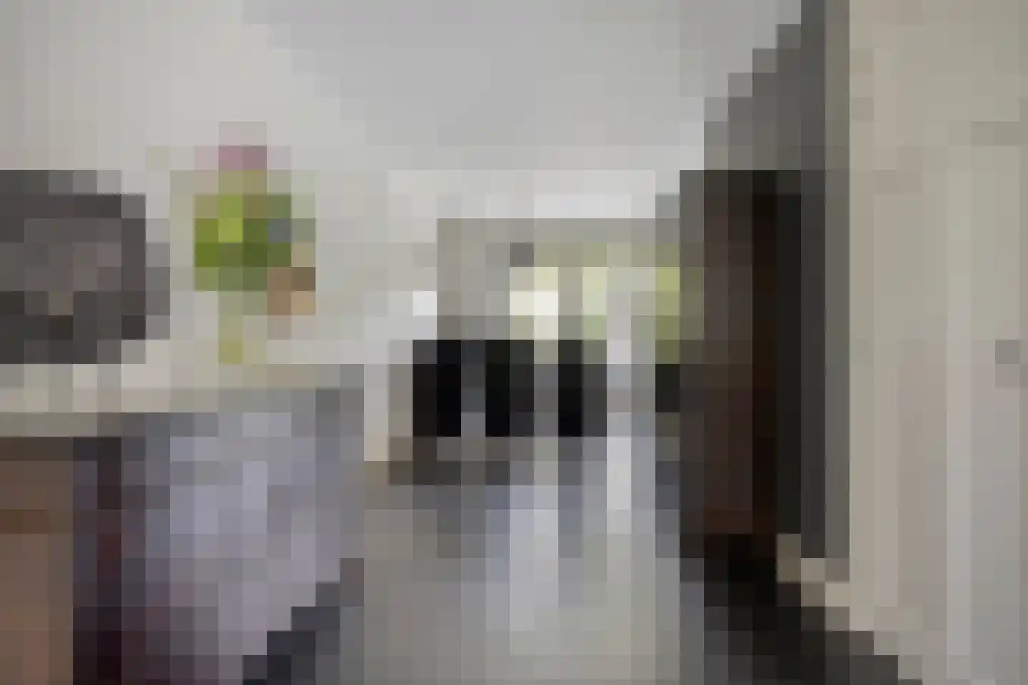 Havenstraat 3 Tuil thumbnail 10