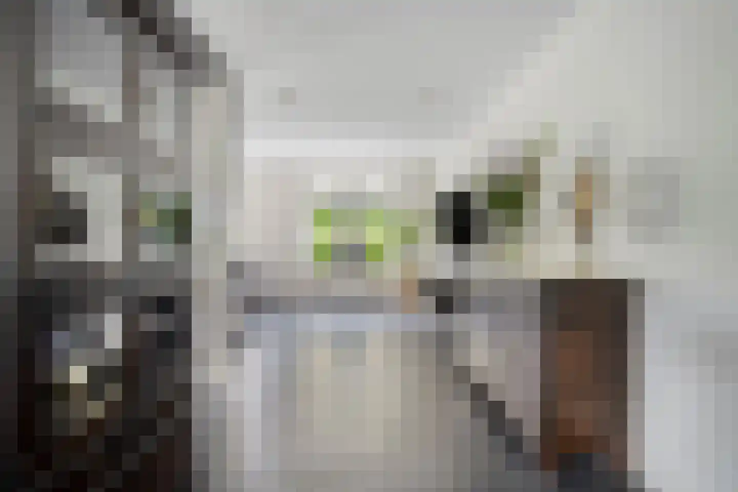 Havenstraat 3 Tuil thumbnail 11
