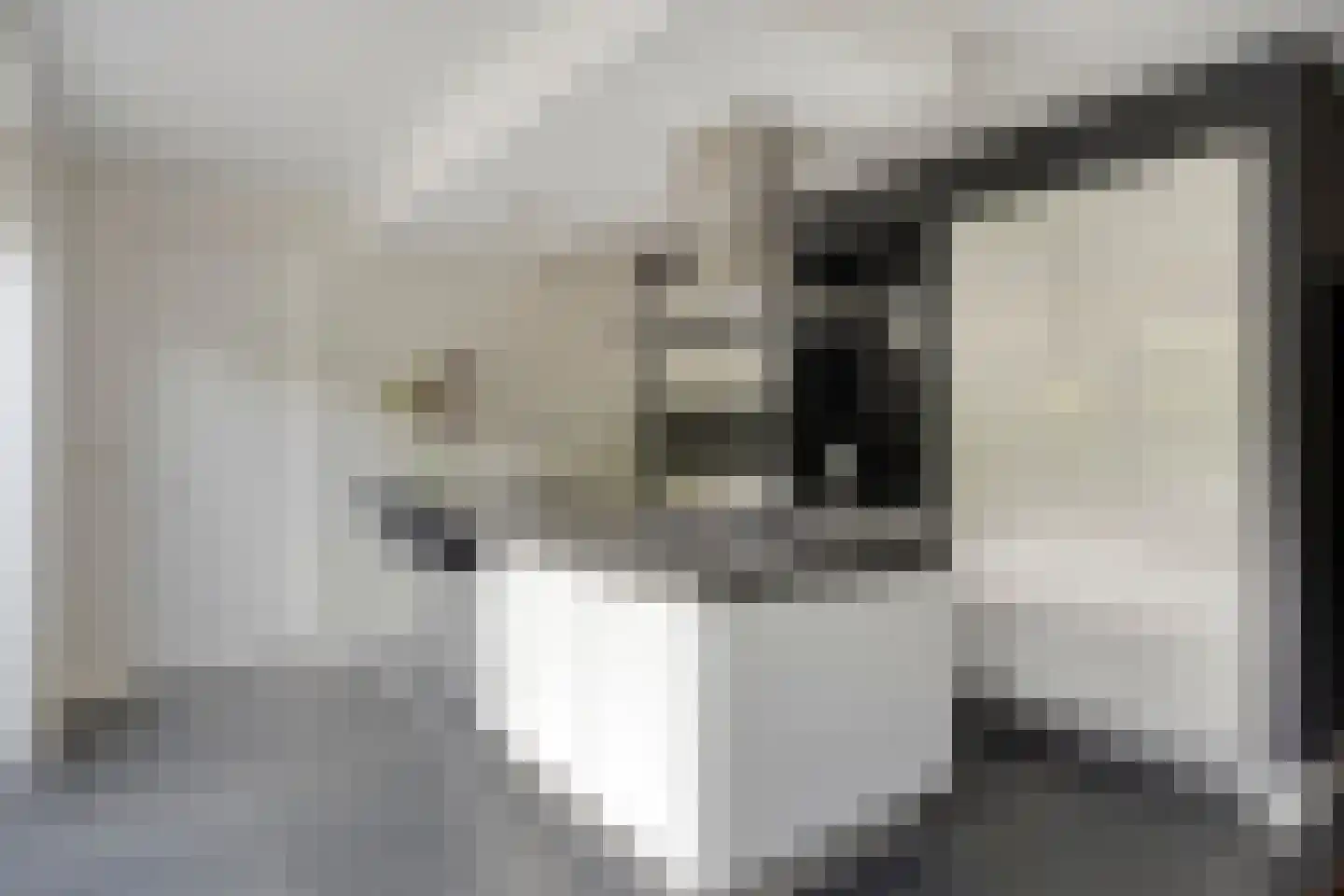Havenstraat 3 Tuil thumbnail 13