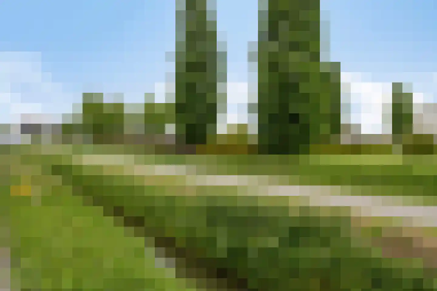 Havenstraat 3 Tuil thumbnail 44