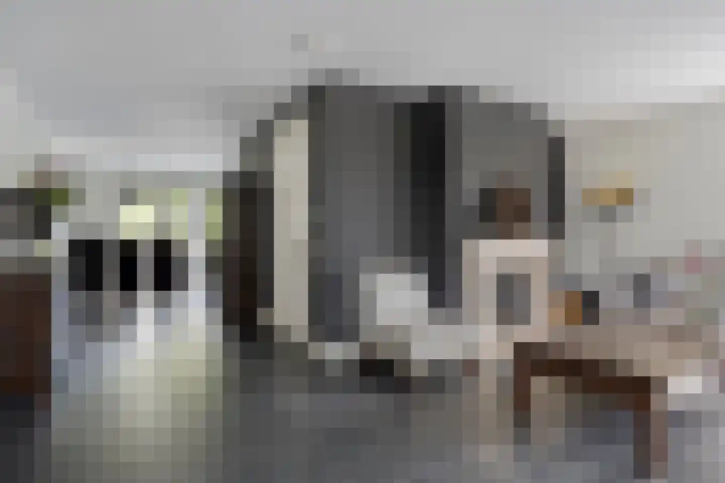 Havenstraat 3 Tuil thumbnail 7