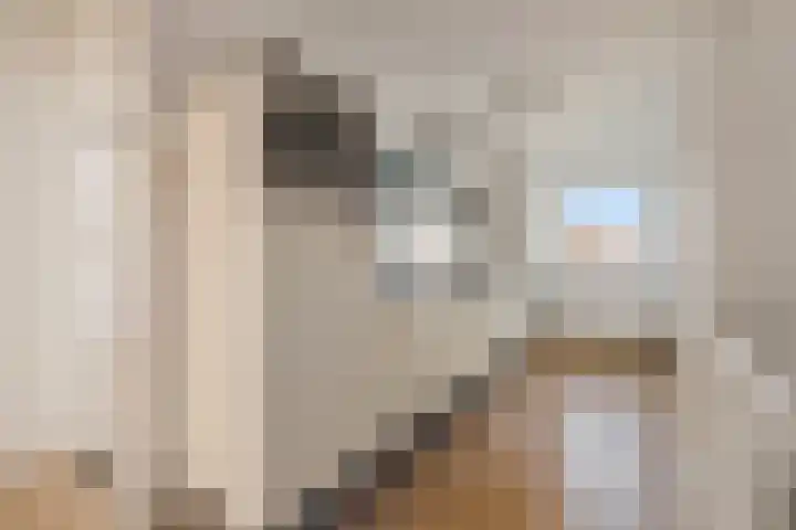 Havenstraat 31 Bussum thumbnail 21