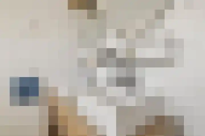 Havenstraat 31 Huizen thumbnail 28