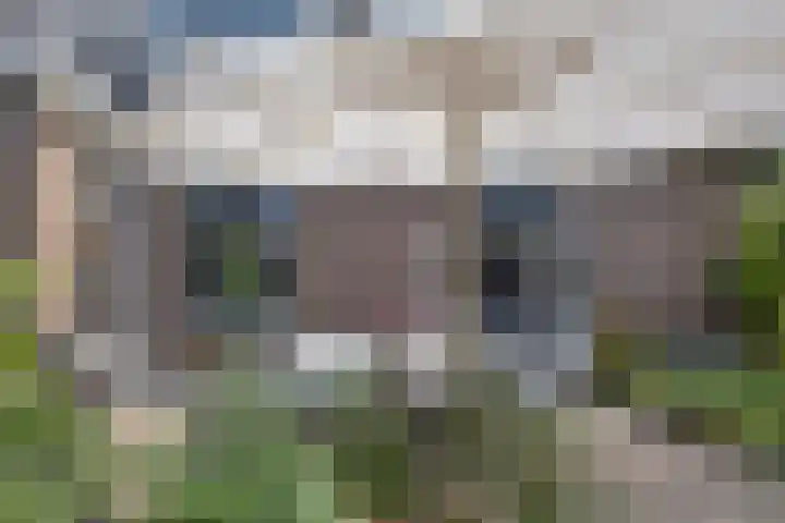 Havenstraat 31 Huizen thumbnail 35