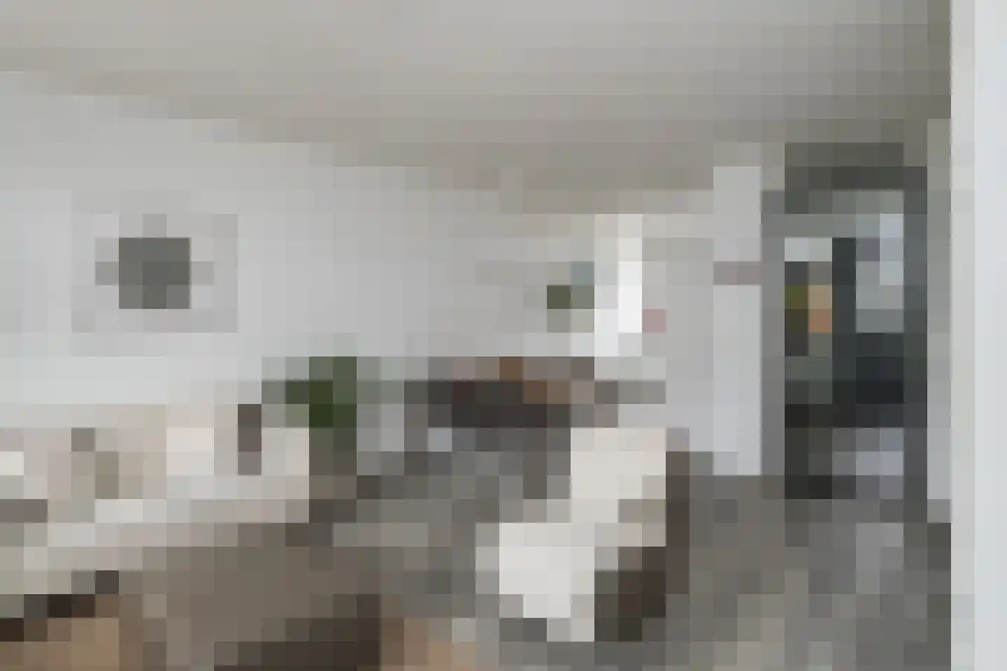 Havenstraat 31 Tuil thumbnail 16