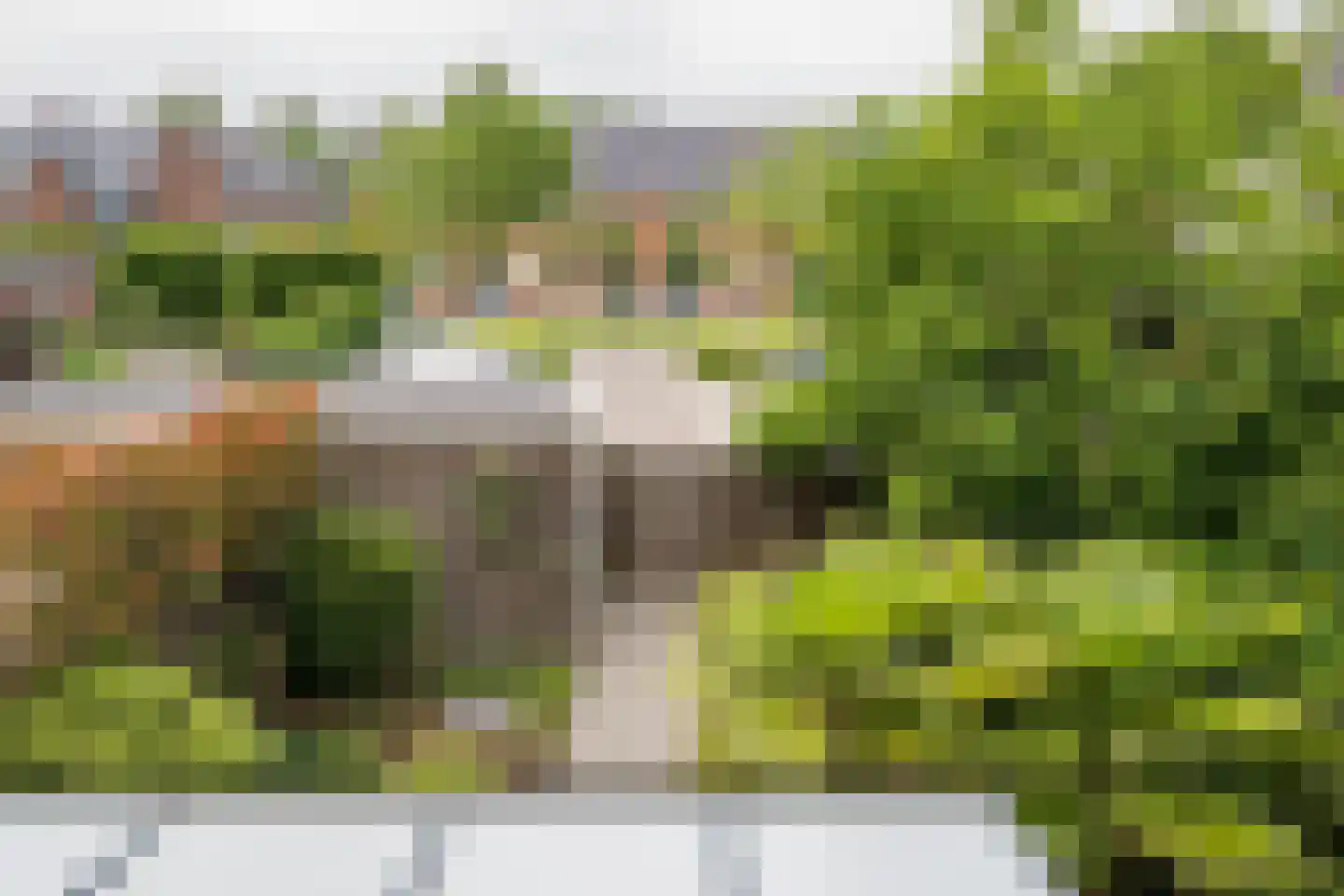 Havenstraat 31 Tuil thumbnail 29
