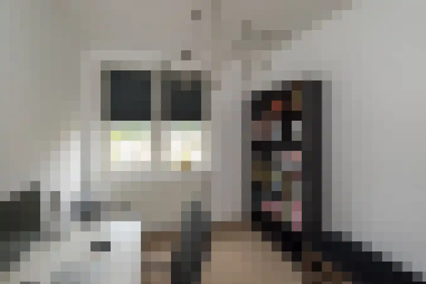 Havenstraat 31 Tuil thumbnail 31