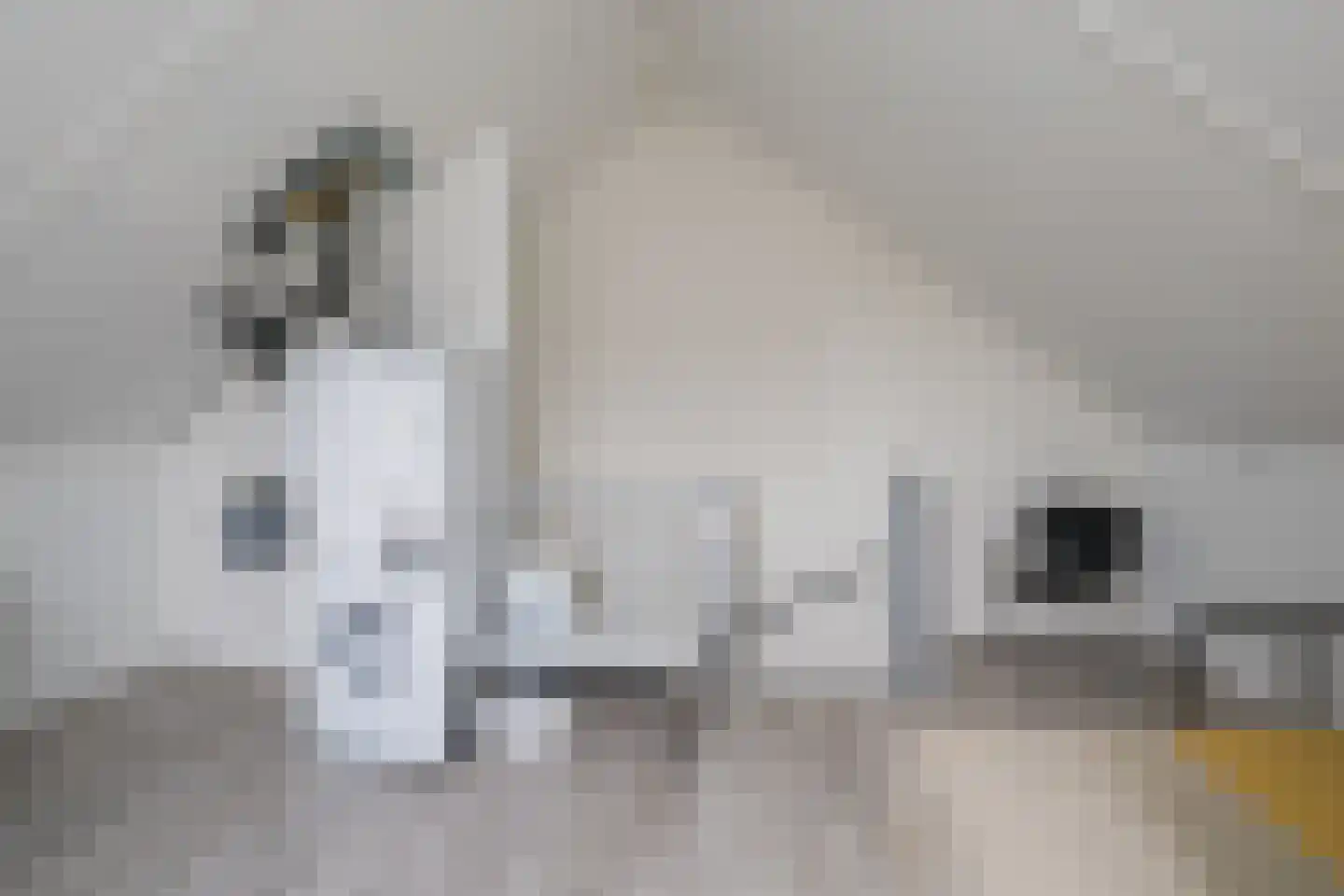 Havenstraat 31 Tuil thumbnail 34