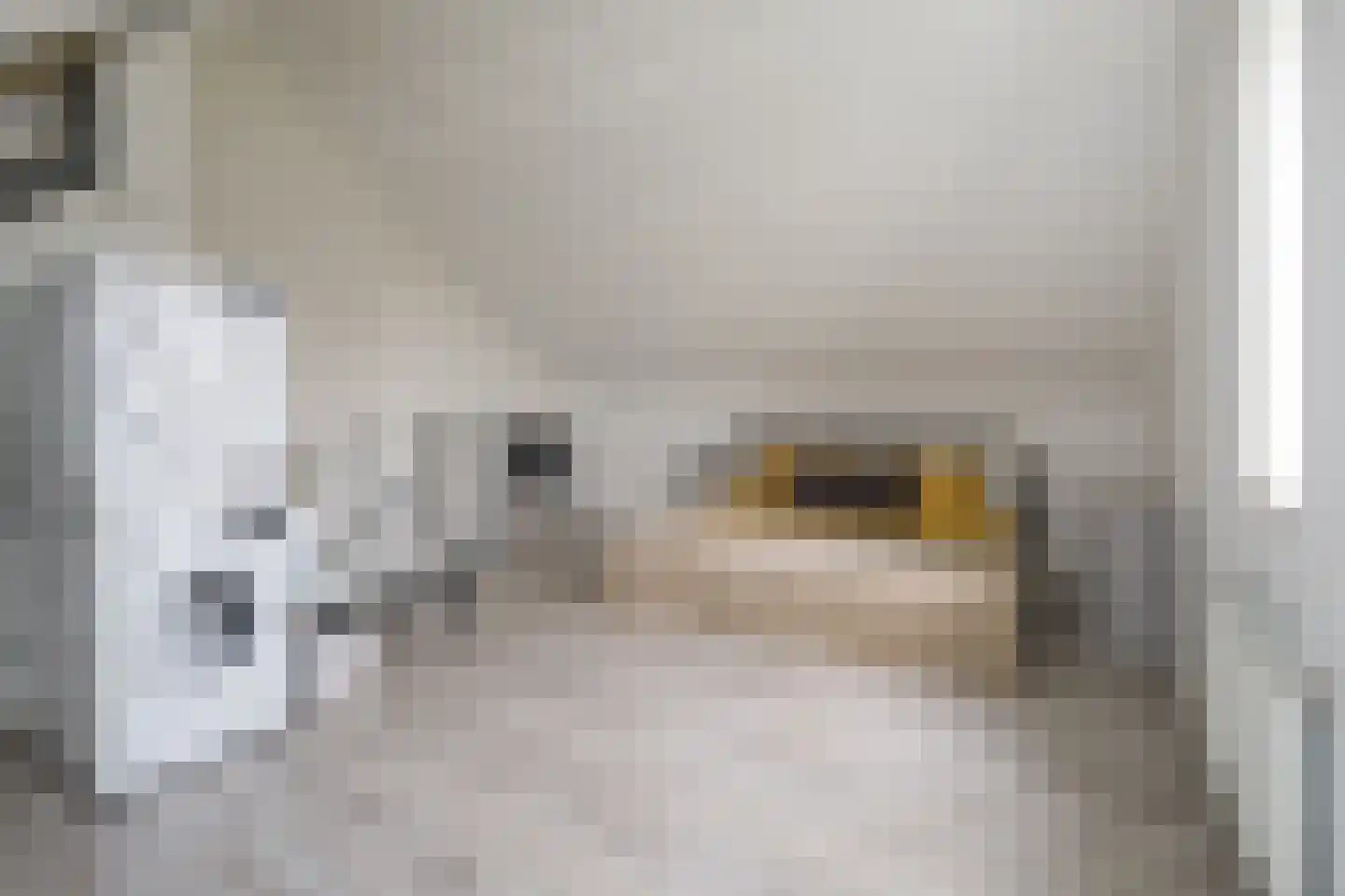 Havenstraat 31 Tuil thumbnail 35
