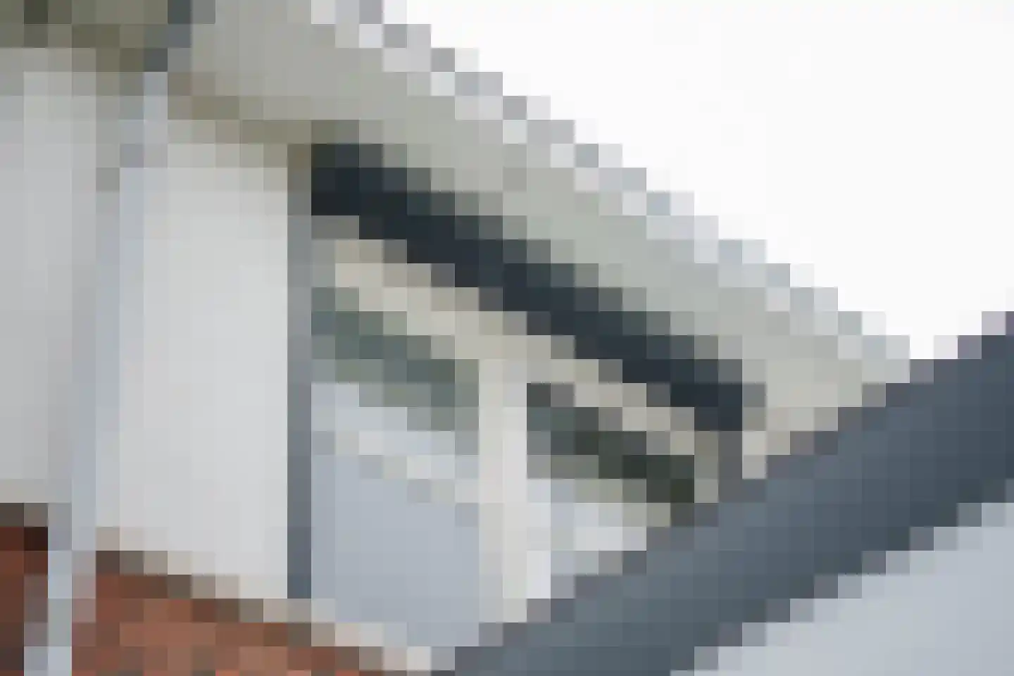 Havenstraat 31 Tuil thumbnail 39