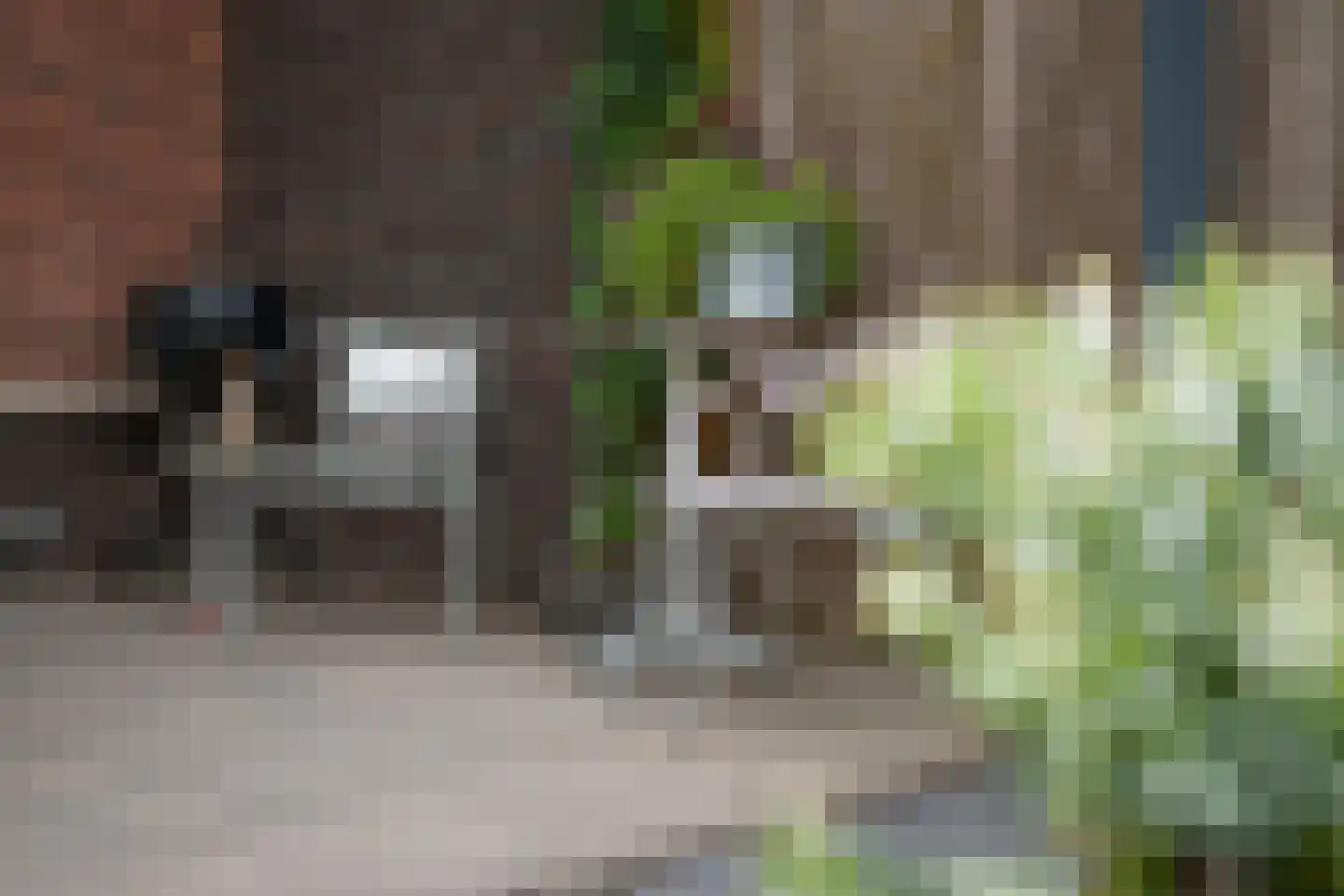 Havenstraat 31 Tuil thumbnail 40