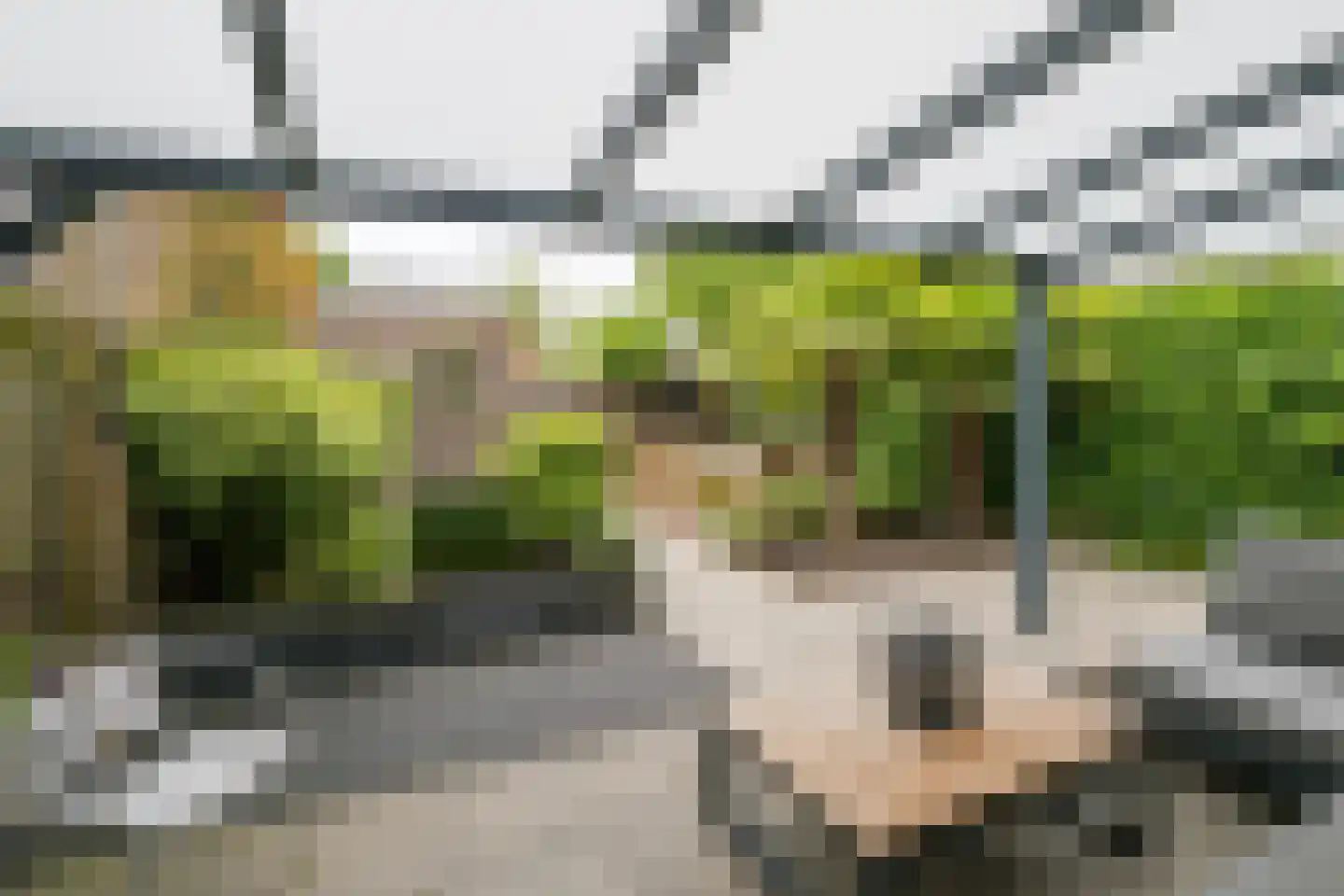 Havenstraat 31 Tuil thumbnail 43