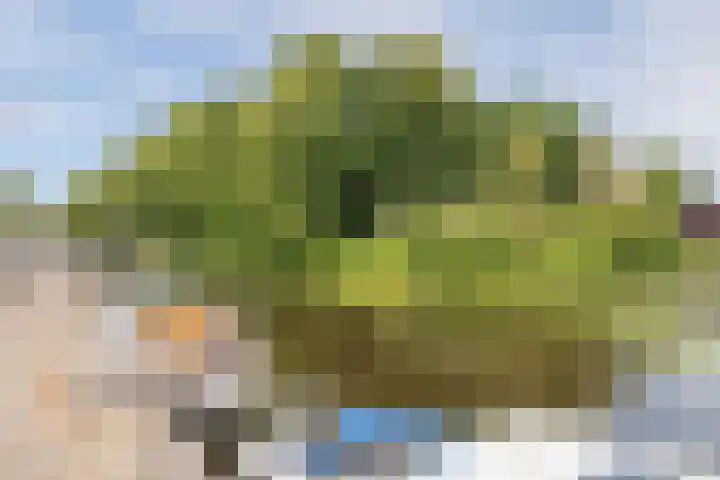 Havenstraat 32 Hillegom thumbnail 38