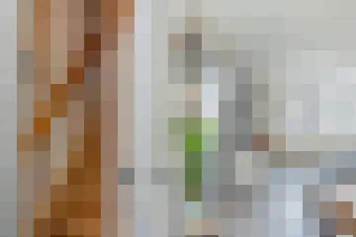 Havenstraat 32 Hillegom thumbnail 5