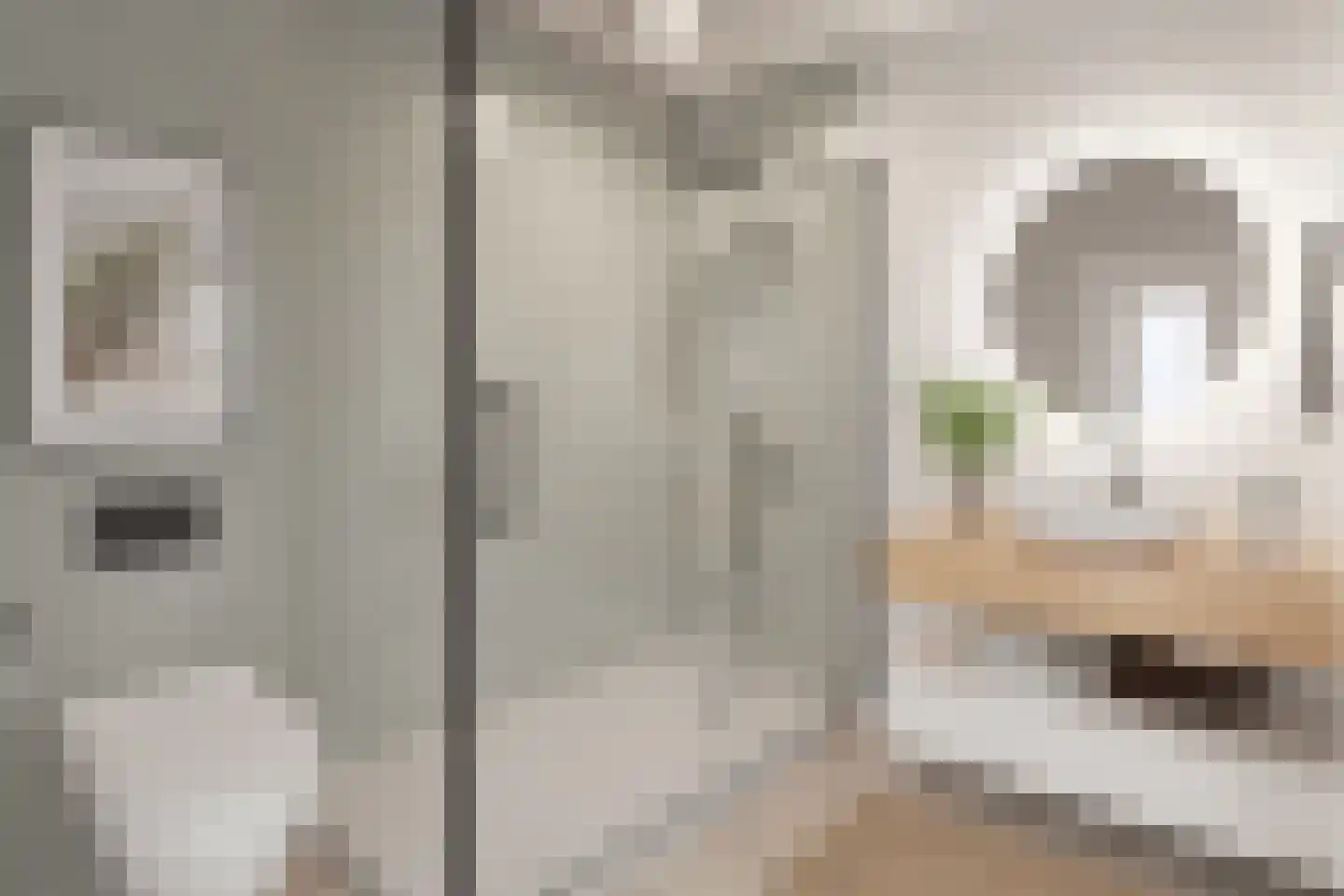 Havenstraat 32 Middenmeer thumbnail 7