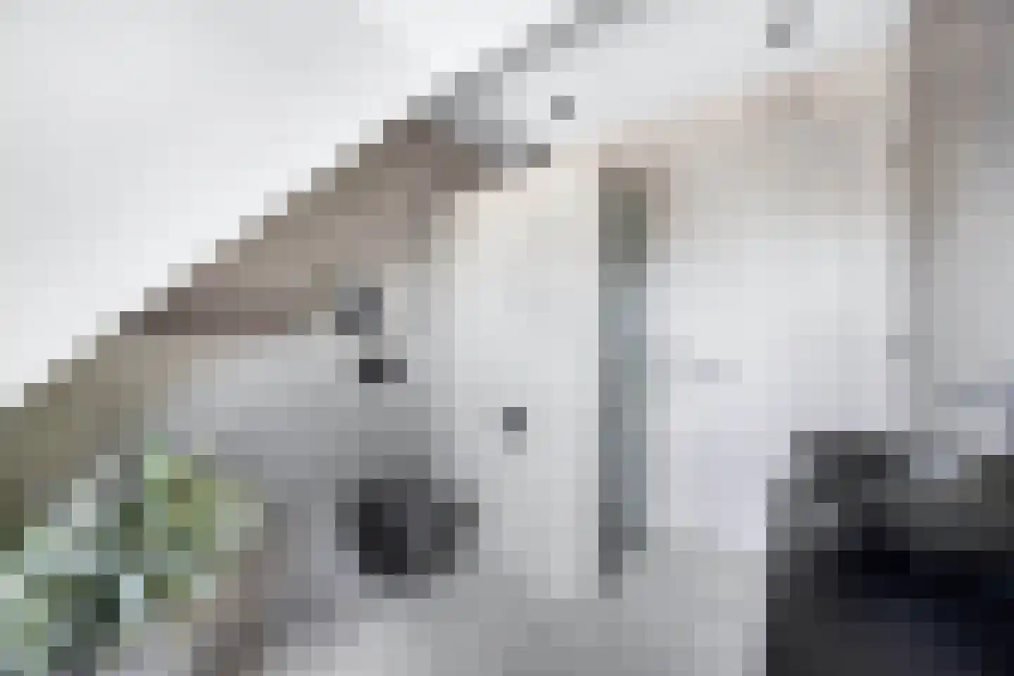 Havenstraat 33 Huizen thumbnail 21