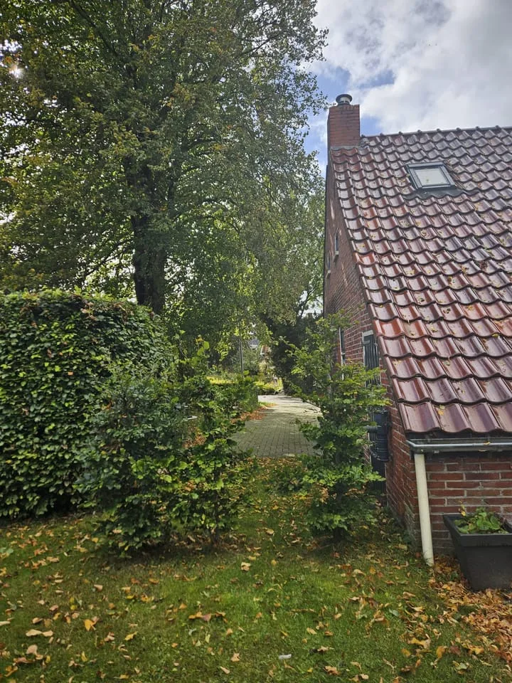 Havenstraat 33 Niekerk thumbnail 11