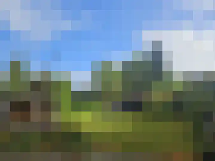 Havenstraat 33 Niekerk thumbnail 4