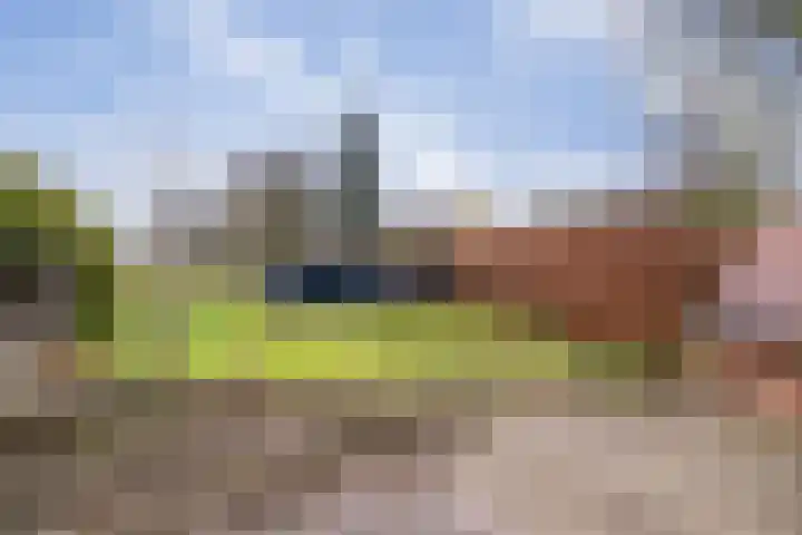 Havenstraat 33 Niekerk thumbnail 43