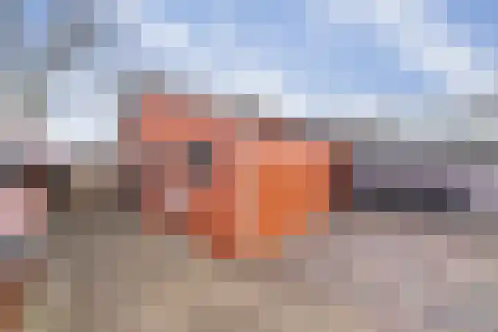 Havenstraat 33 Niekerk thumbnail 50
