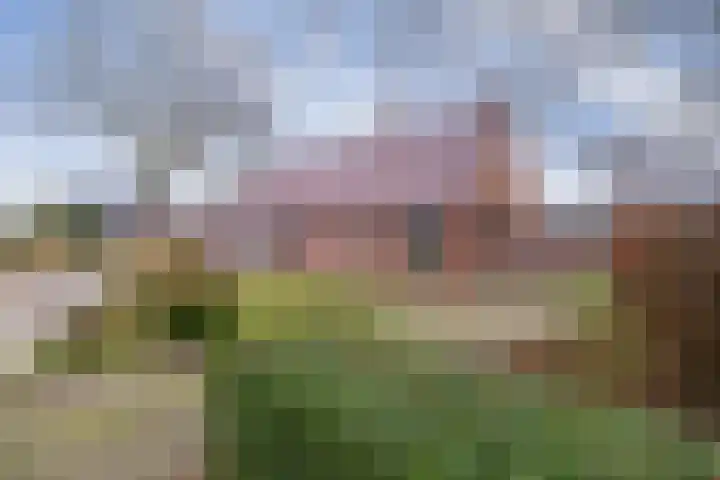 Havenstraat 33 Niekerk thumbnail 6