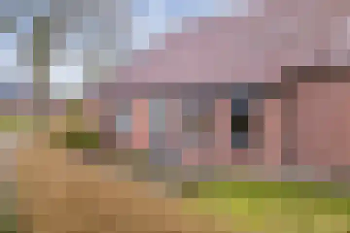 Havenstraat 33 Niekerk thumbnail 7