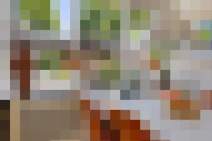 Havenstraat 33 Ter Apel thumbnail 10