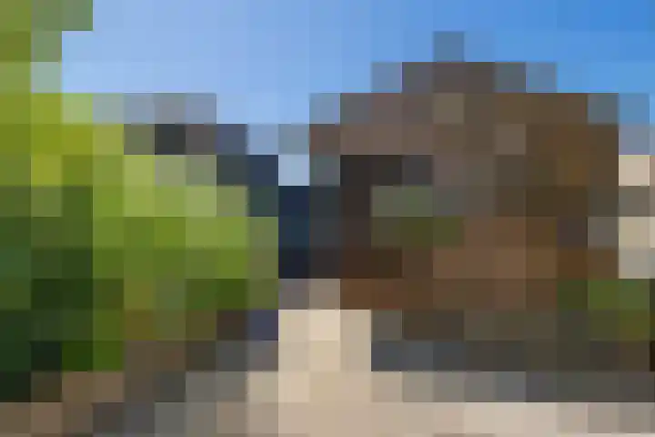 Havenstraat 33 Ter Apel thumbnail 29