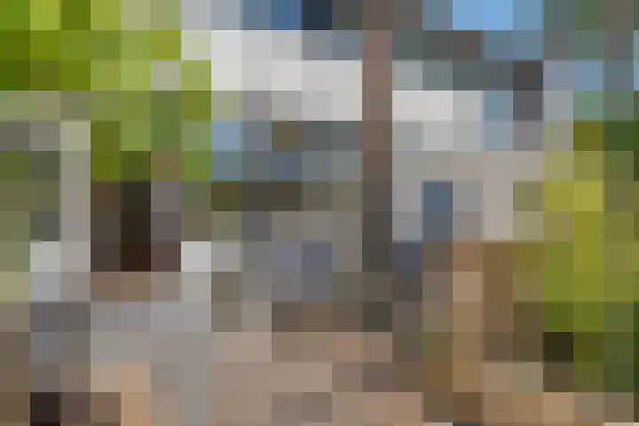 Havenstraat 33 Ter Apel thumbnail 30