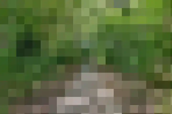 Havenstraat 33 Ter Apel thumbnail 33