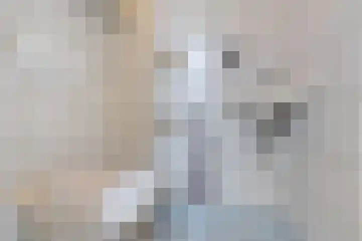 Havenstraat 33 Ter Apel thumbnail 6
