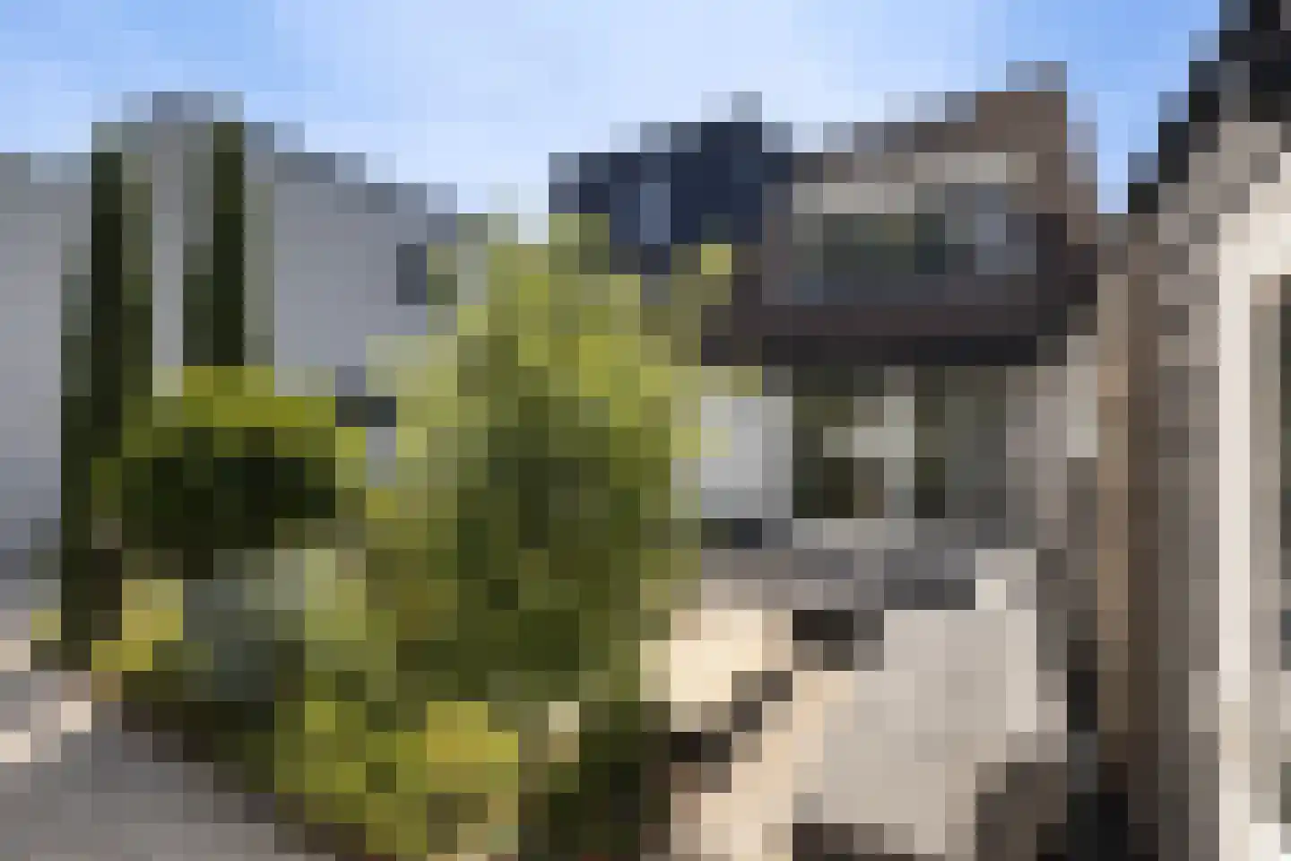 Havenstraat 34 Numansdorp thumbnail 28