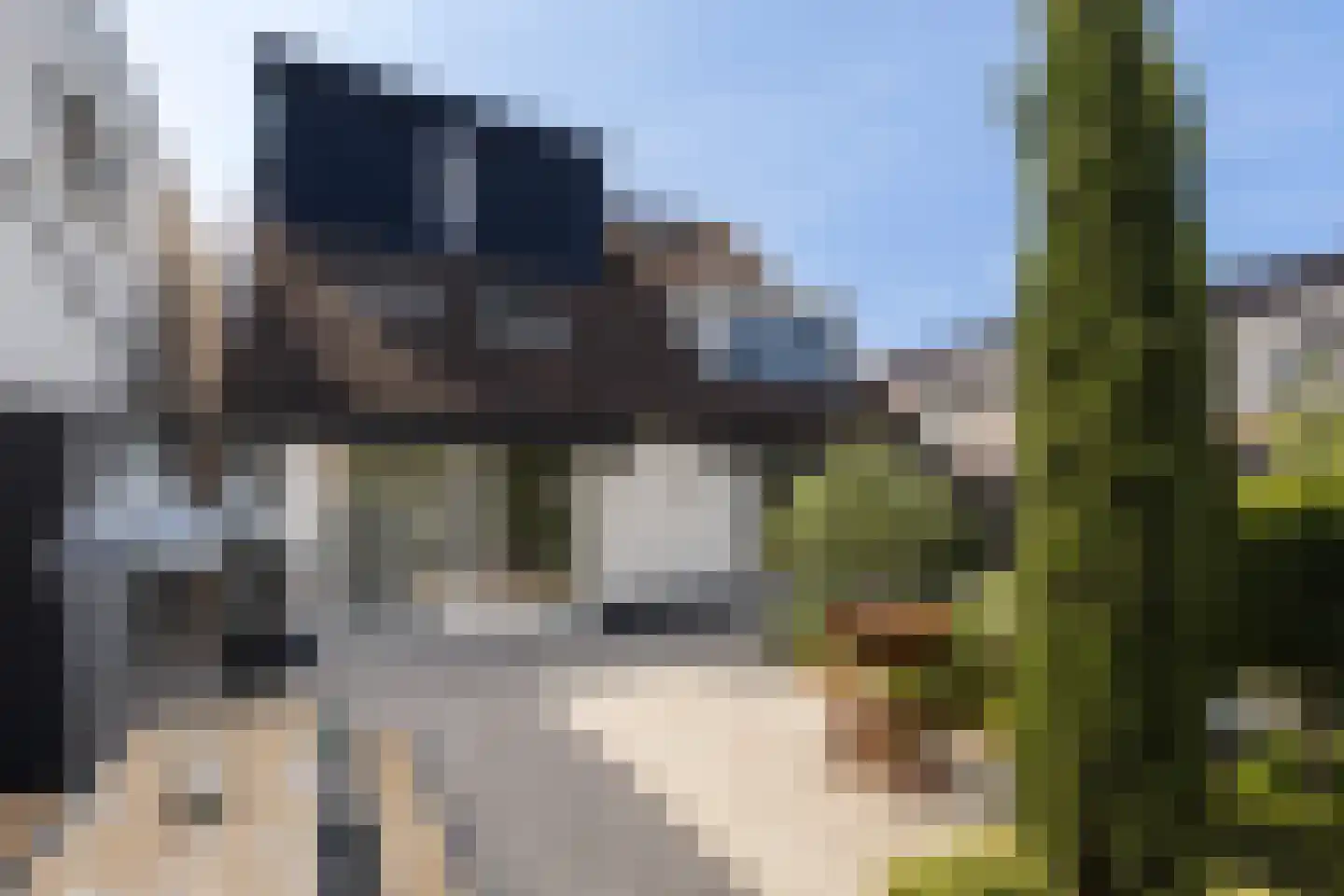 Havenstraat 34 Numansdorp thumbnail 34