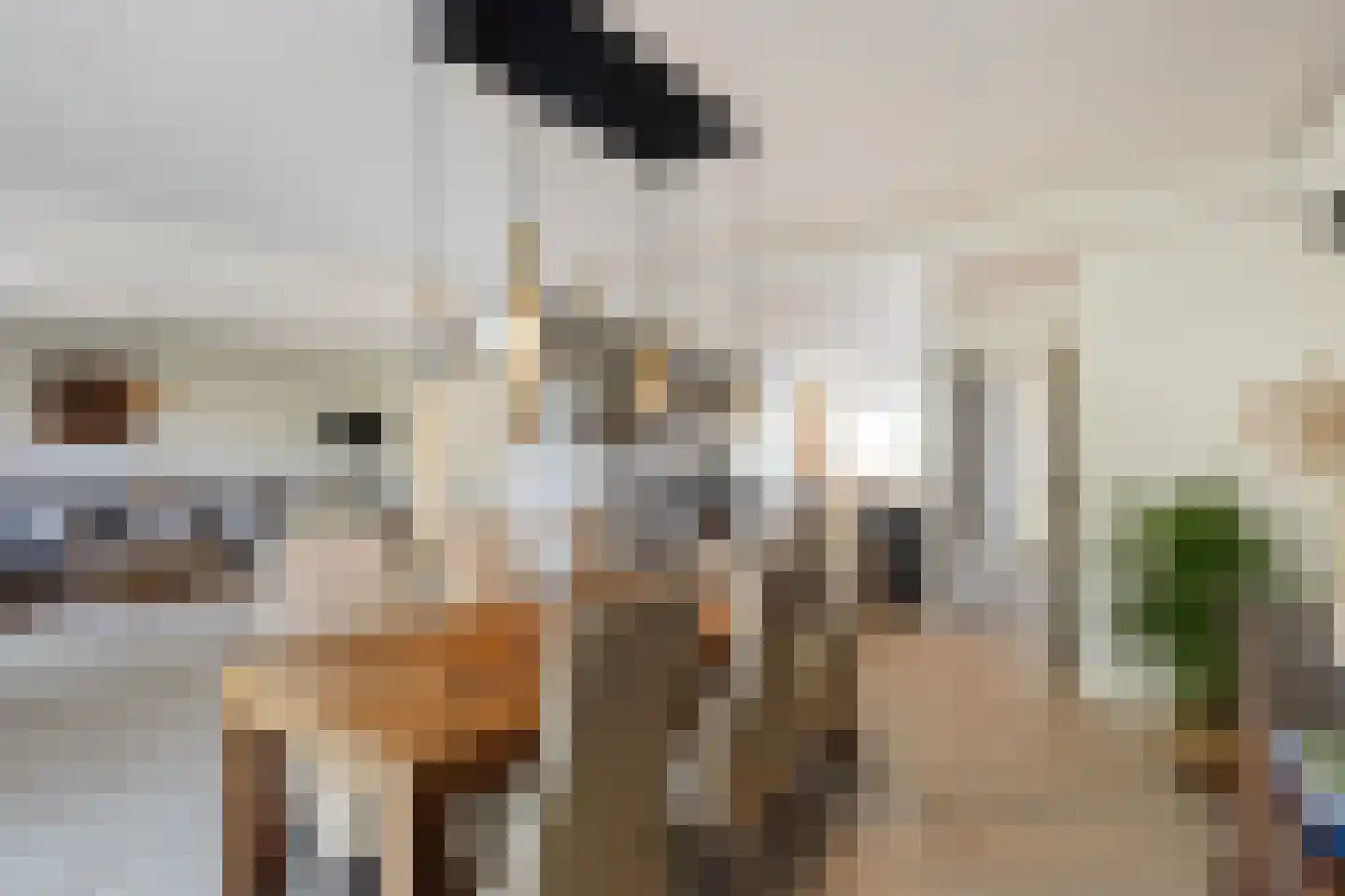 Havenstraat 34 Numansdorp thumbnail 7