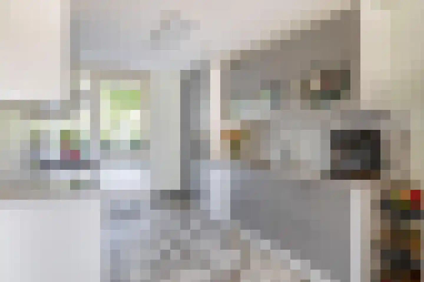 Havenstraat 35 Berkel en Rodenrijs thumbnail 15