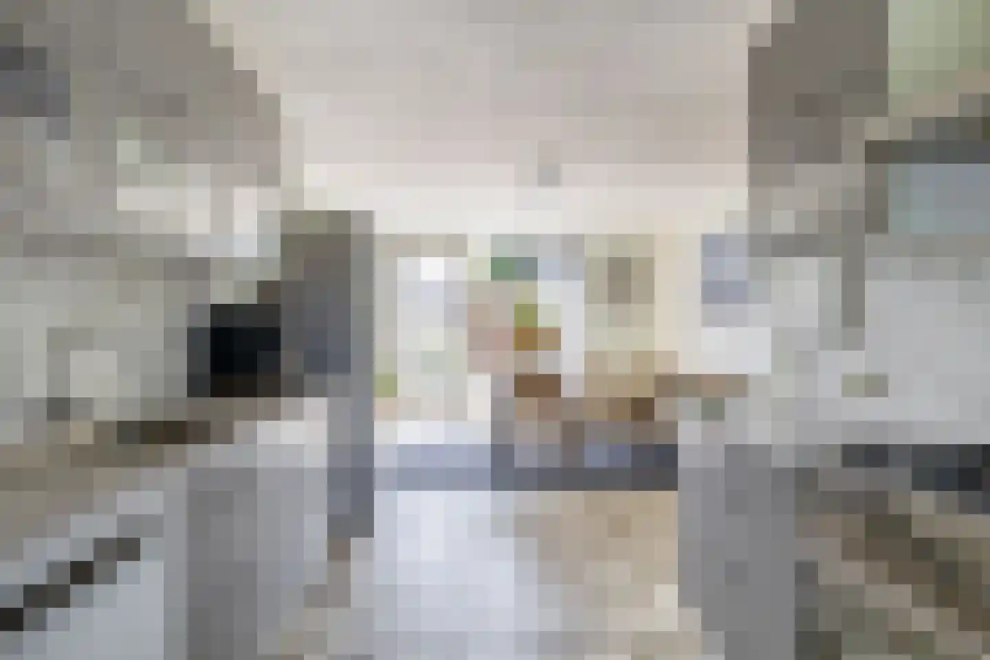 Havenstraat 35 Berkel en Rodenrijs thumbnail 16