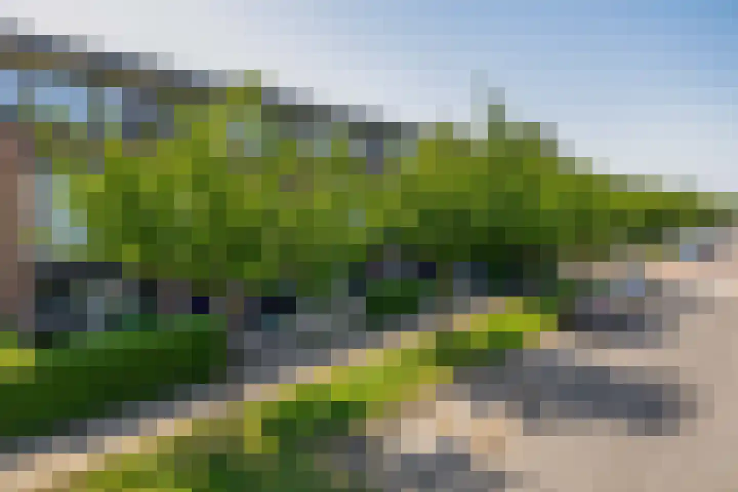 Havenstraat 35 Berkel en Rodenrijs thumbnail 7