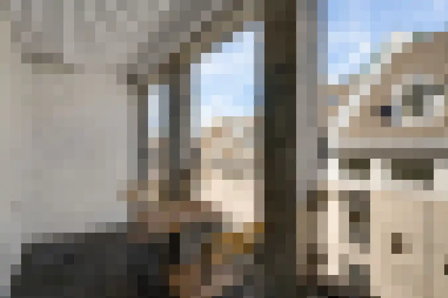 Havenstraat 36 D Maastricht thumbnail 5