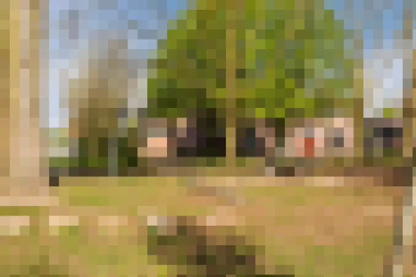 Havenstraat 39 Nijkerk thumbnail 31