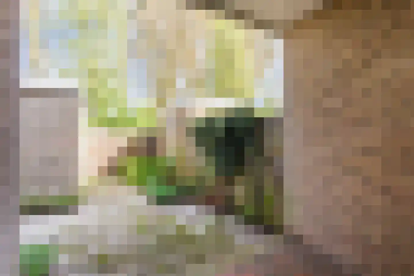 Havenstraat 39 Nijkerk thumbnail 7
