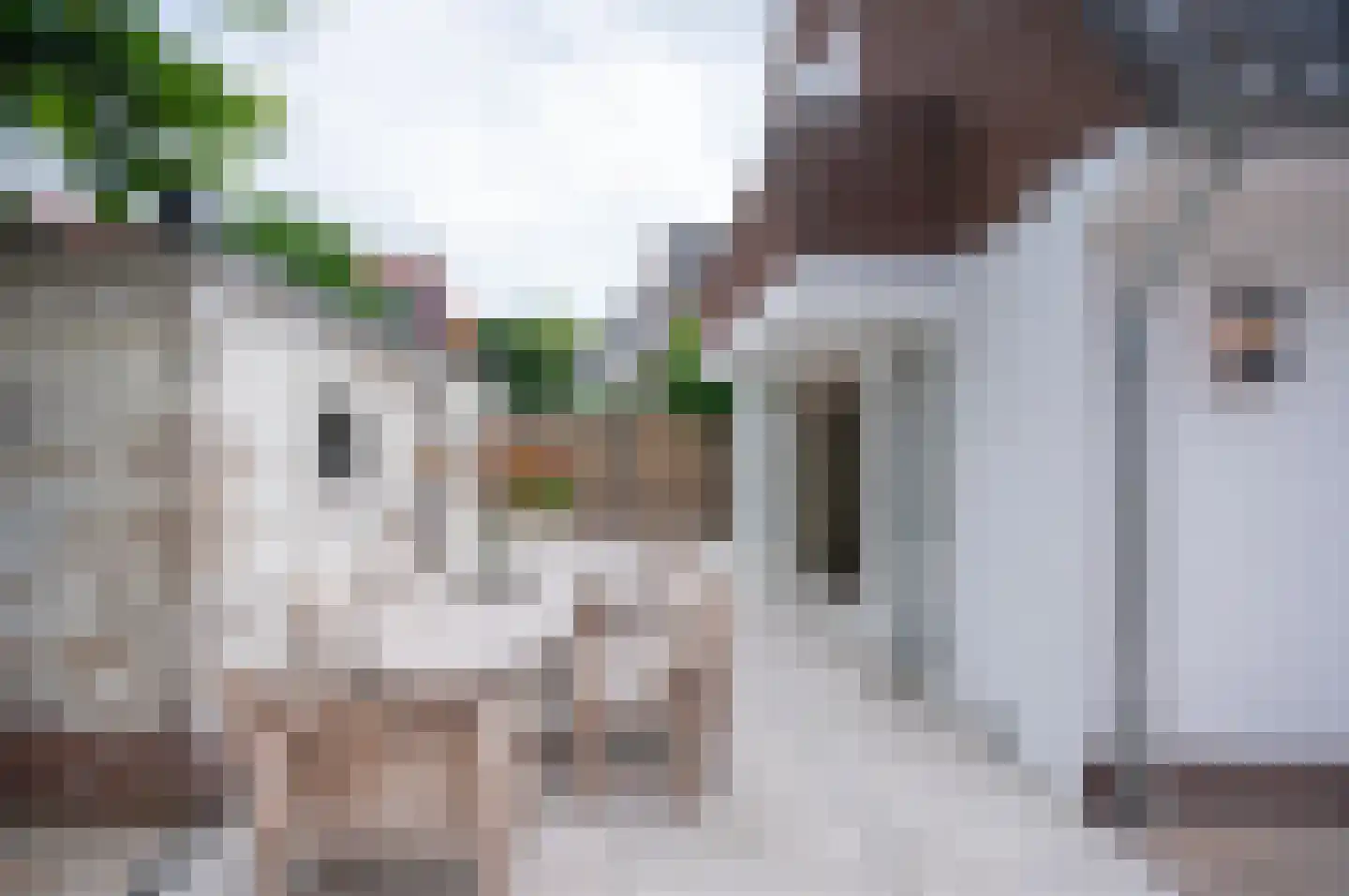 Havenstraat 4 Alphen aan den Rijn thumbnail 4